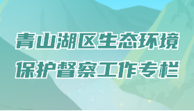 青山湖區生態環境保護督察工作專欄